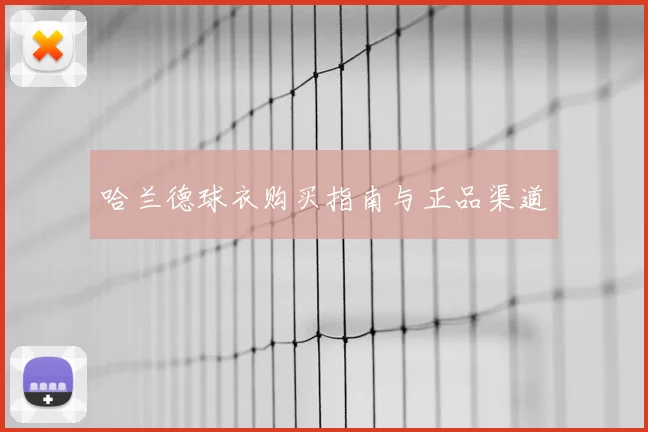 哈兰德球衣购买指南与正品渠道